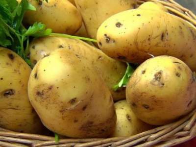 Стало известно, какая картошка снижает риск рака
