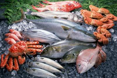 Медики выяснили, какие морепродукты опасны для здоровья