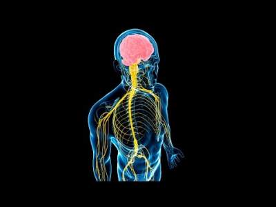 Названы главные признаки заболеваний нервной системы