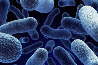 Ученые назвали пробиотики вредными