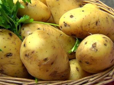 Медики рассказали, как картофель помогает вылечить гепатит