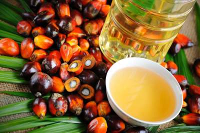 Медики рассказали, какие болезни вызывает пальмовое масло