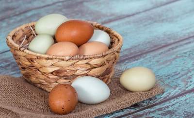 Медики рассказали, как правильно есть яйца