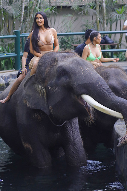 Ким и Кортни Кардашьян на слонах