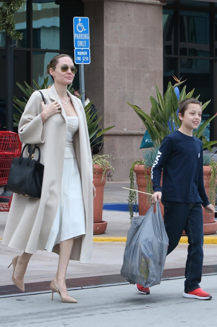 Анджелина Джоли и ее сын Нокс