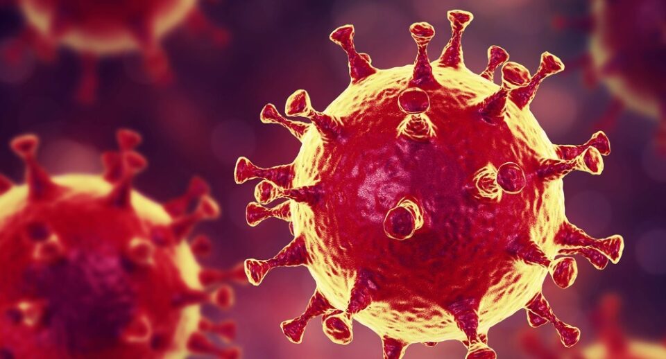 Развенчан популярный миф о «мутации» коронавируса