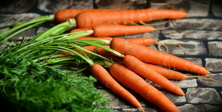 Медики рассказали, как ежедневное употребление моркови влияет на организм