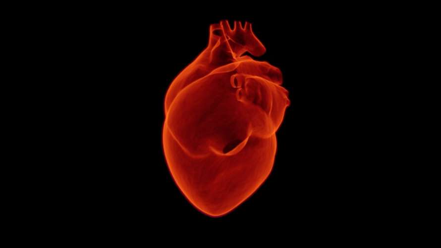 «Тихий» сердечный приступ: какие симптомы нельзя пропускать